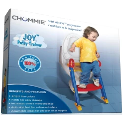 Potty Training Seat With Ladder