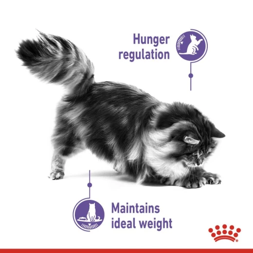 Royal Canin Appetite Control Care Cat Food, 2 Kg - Royal Canin - Image 3