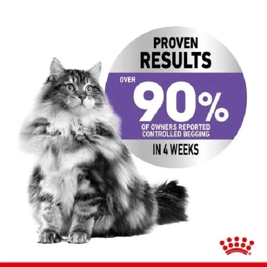Royal Canin Appetite Control Care Cat Food, 2 Kg - Royal Canin - Image 4