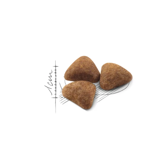 Royal Canin Indoor Dry Cat Food, 2kg - Royal Canin - Image 3