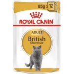 Royal Canin British Shorthair Cat Food, 85g - Royal Canin