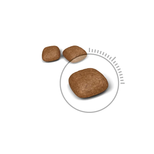 Royal Canin Cat Urinary Care, 2kg - Royal Canin - Image 2