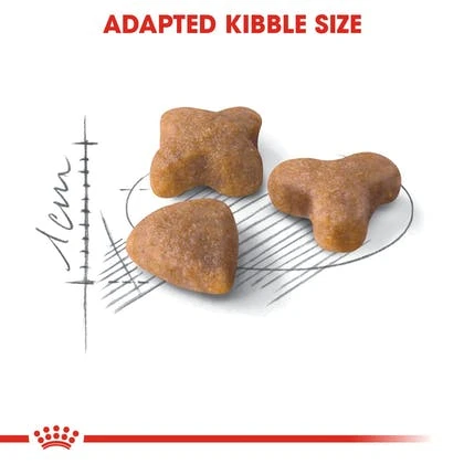 Royal Canin Sensible Cat Food, 4Kg - Royal Canin - Image 2