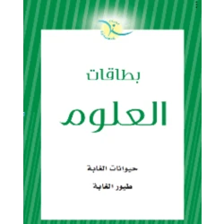 بطاقات تعليمية لحيوانات الغابة والطيور للأطفال: بطاقات تعليمية تفاعلية لتنمية الطفولة المبكرة