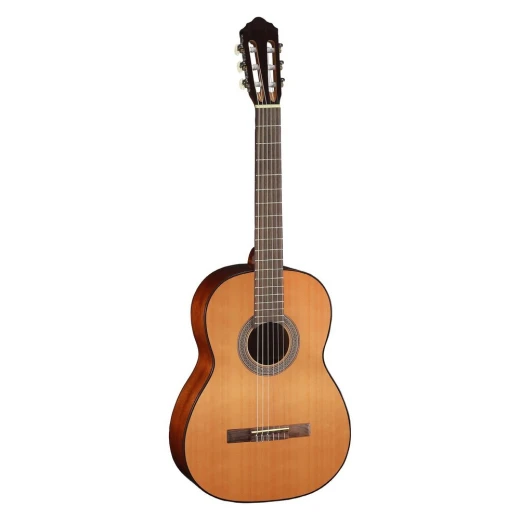 Cort Classical Guitar, AC100-SG Cort Classical Guitar, AC100-SG