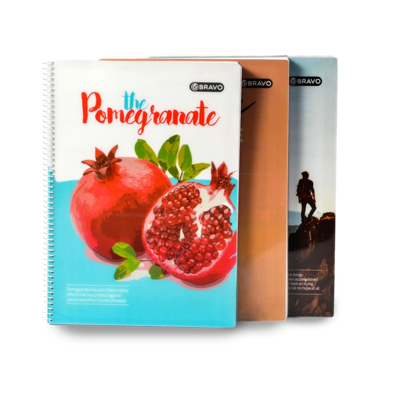 Abc College Notebook A4, 4 Subjects - ABC