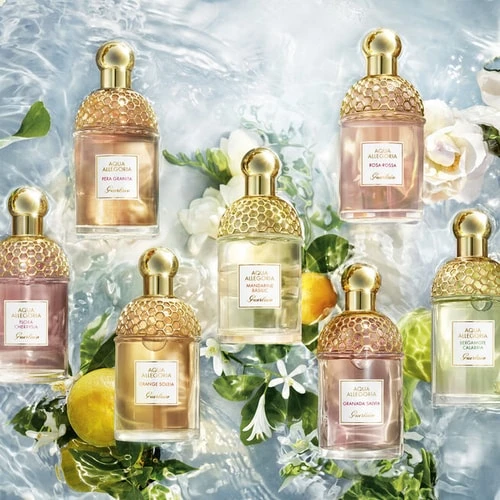 جيرلان أكوا أليغوريا نيتار دي سول ماء تواليت 75 مل عطر عسل وزهور للنساء - غيرلان - Image 2