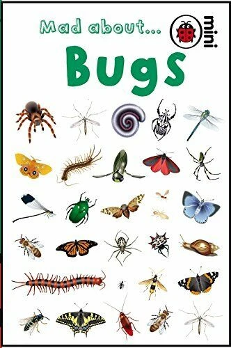 Mad About Bugs - Ladybird Books