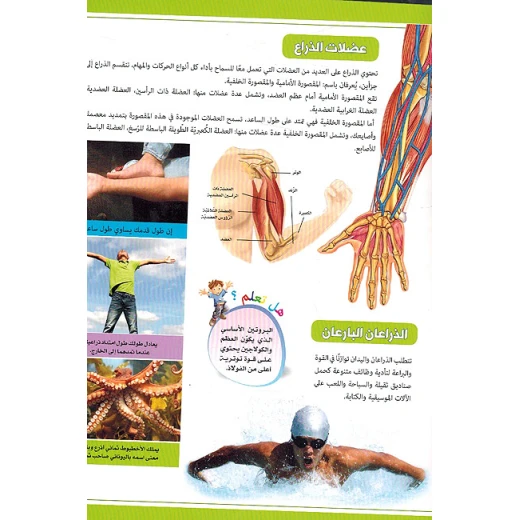 تجربة تطبيقية عن جسم الإنسان - Image 2