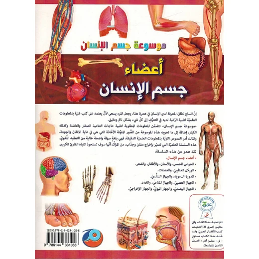 تجربة تطبيقية عن جسم الإنسان - Image 3