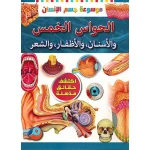 An applied experiment on the five senses