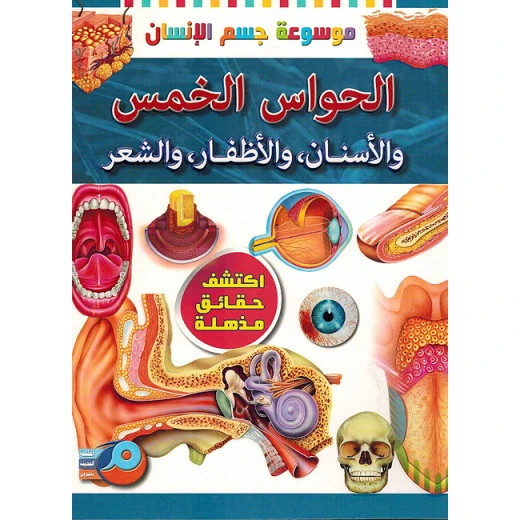 An applied experiment on the five senses An applied experiment on the five senses