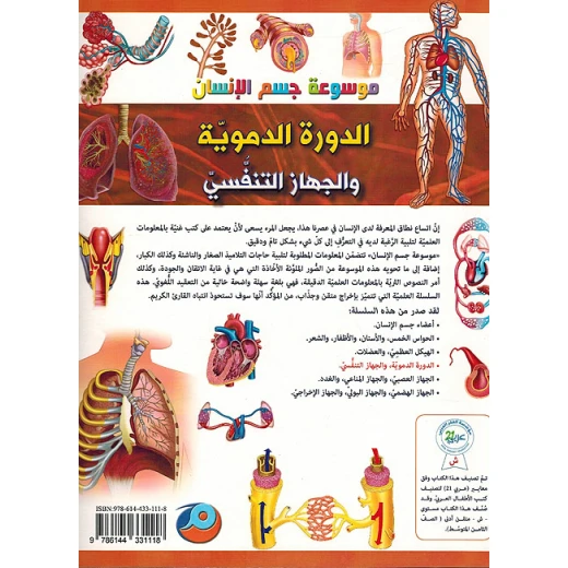 تجربة تطبيقية عن الدورة الدموية - Image 3