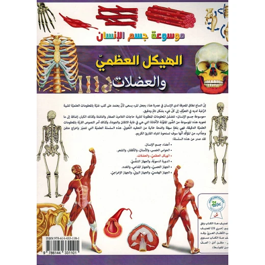 تجربة تطبيقية عن الهيكل العظمي - Image 3