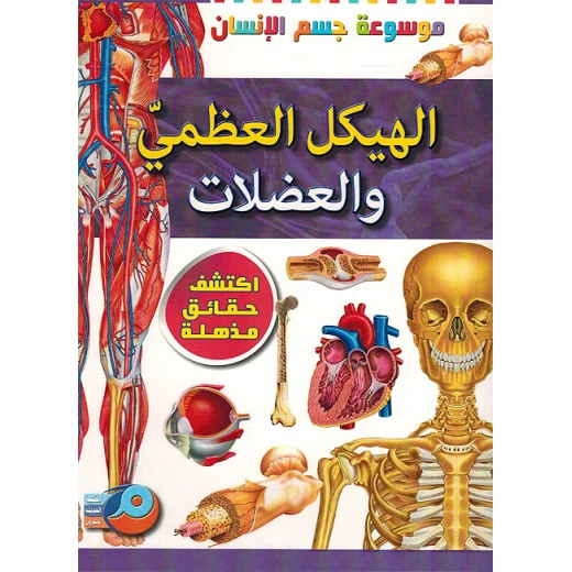 تجربة تطبيقية عن الهيكل العظمي تجربة تطبيقية عن الهيكل العظمي