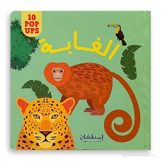 Interesting windows for children: the forest Interesting windows for children: the forest