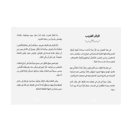 رواية : حمزة و الهدهد - Image 3