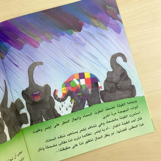 سلسلة دفيد ماكي : إيلمر - Image 2