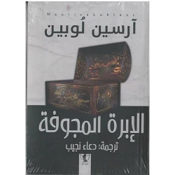 Novel: The Crazy Needle