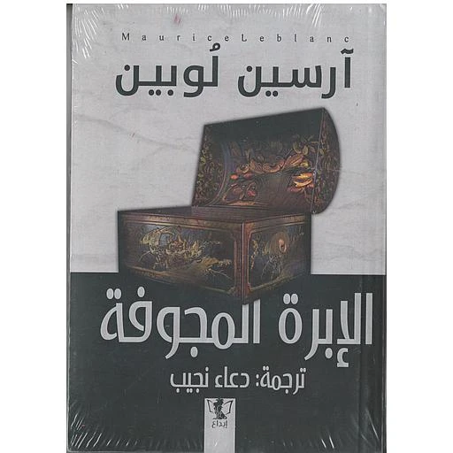 Novel: The Crazy Needle