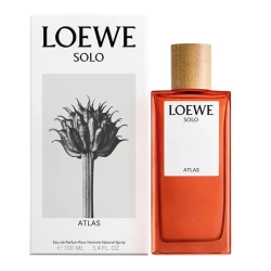 لووي سولو أطلس ماء عطر للرجال ١٠٠ مل عطر حمضيات توابل يدوم طويلاً