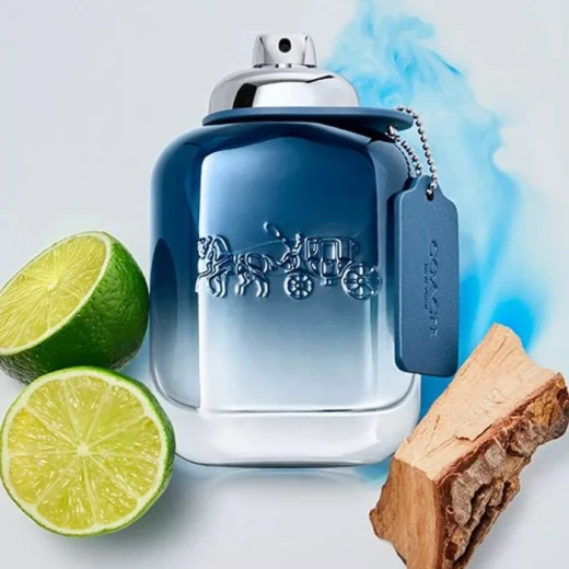 Coach Blue Eau de Toilette for Men 100ML Citrus and Spicy Fragrance Lime and Absinthe - Coach - Image 3