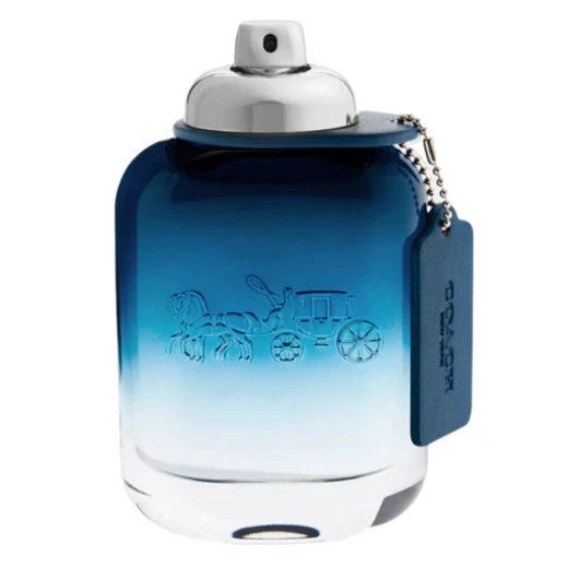 Coach Blue Eau de Toilette for Men 100ML Citrus and Spicy Fragrance Lime and Absinthe - Coach - Image 2