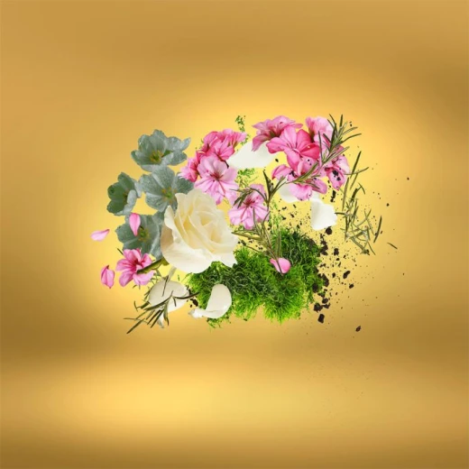 عطر كاساموراتي كاسافوتورا يو دي بارفان 100 مل للجنسين عطر أروماتك اللافندر الورد المسك الأنيق - كازاموراتي - Image 3