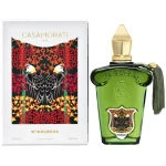 Casamorati Fiero Eau de Parfum for Men 100ml Citrus Mint Fragrance Spray Elegant Scent - Casamorati