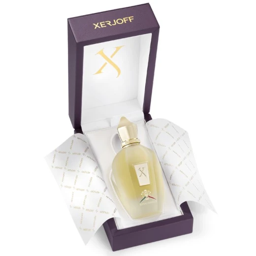 Xerjoff Renaissance Eau de Parfum 100ml: A Luxurious Citrus Aromatic Fragrance for Men and Women, Evoking the Italian Renaissance with Exquisite Notes. A Signature Scent. - Xerjoff - Image 3