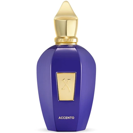Xerjoff Accento Eau de Parfum 100ml: Luxurious Fragrance for Men & Women with Pineapple & Hyacinth Xerjoff Accento Eau de Parfum 100ml: Luxurious Fragrance for Men & Women with Pineapple & Hyacinth
