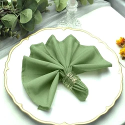 Zambaiti Chou 4-Piece Dinner Napkins Set - Green