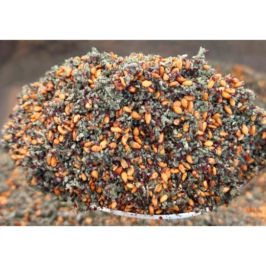 Zaعtarna Regular Thyme - zaعtarna - Image 3