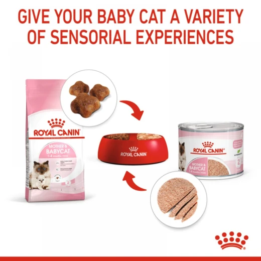 Royal Canin Mother & Baby Wet Cat Ultra Soft Mousse Food, 195g - Royal Canin - Image 5