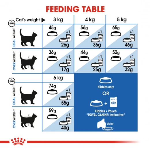 Royal Canin Indoor Dry Cat Food, 2kg - Royal Canin - Image 5
