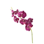 Leonardo Fiore Orchidea Dia 85 x 15 x 10 cm Purple - Leonardo