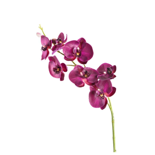 Leonardo Fiore Orchidea Dia 85 x 15 x 10 cm Purple