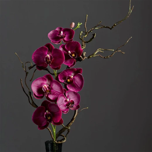 Leonardo Fiore Orchidea Dia 85 x 15 x 10 cm Purple - Leonardo - Image 2