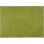 APS Placemat Apple Green 45x33cm - APS