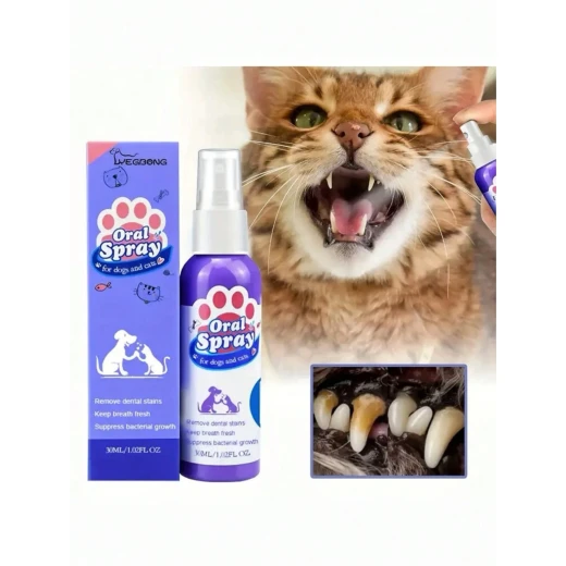 Petry Oral Spray, Teeth Cleaning Spray for Dogs & Cats, Pets Dental Care Bad Breath Treatment, Dog Oral Spray, Teeth Cleaning Spray, Dog and Cat Natural Breath Freshener 30 Ml - Pets - Image 8