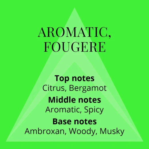 MiltonLloyd Colour Me Volt Cologne for Men 90ml Fresh Aromatic Fougere Fragrance - Miltonlloyd - Image 2