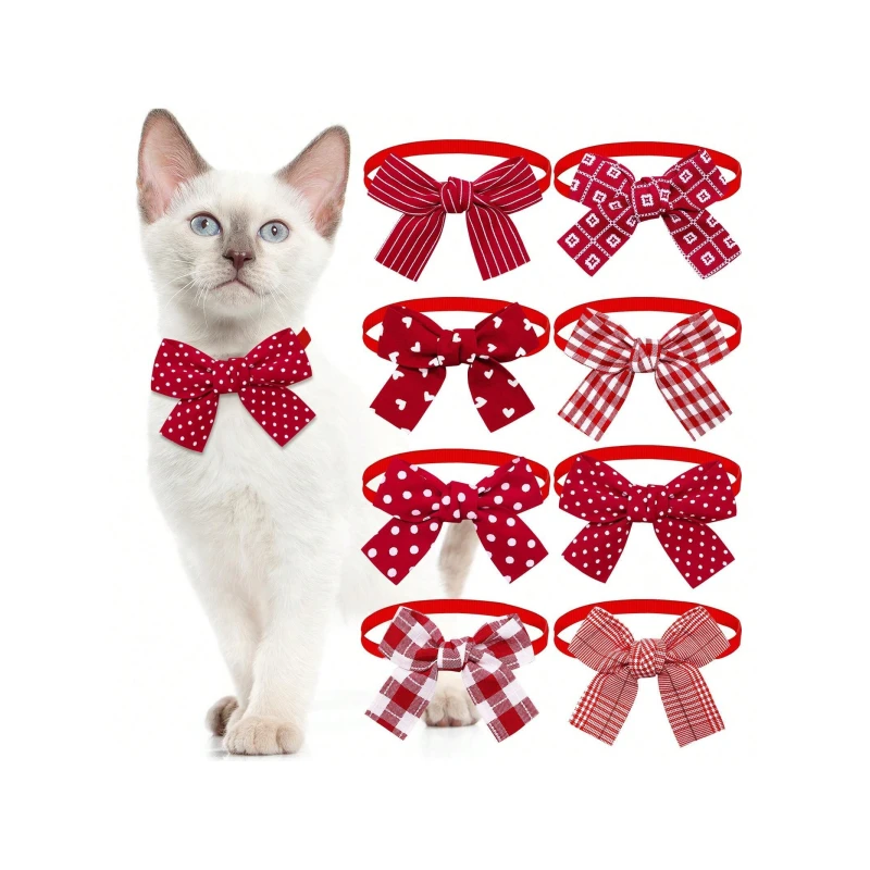 Multicolor Pet Collar Assorted Set - Pets
