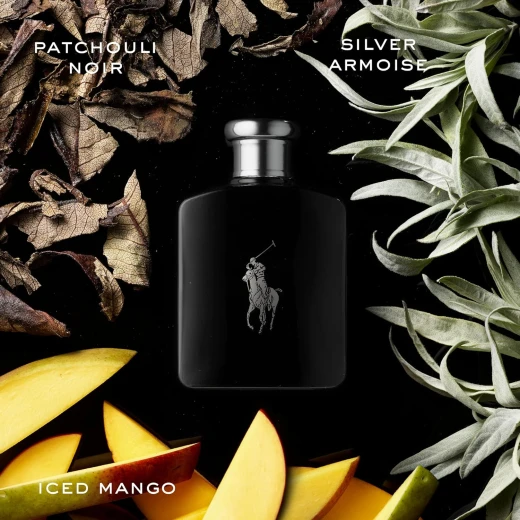 Ralph Lauren Polo Black Eau de Toilette 75ml Men's Cologne Woody & Fresh Fragrance with Patchouli & Sandalwood - Ralph Lauren - Image 4