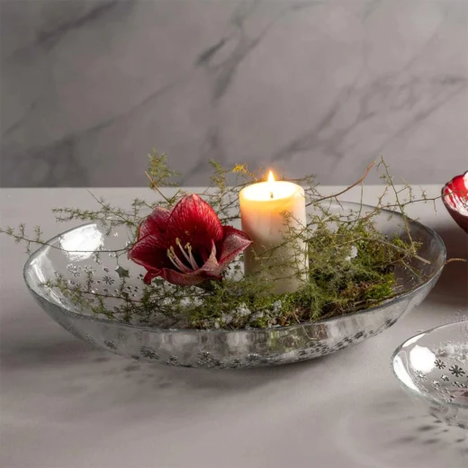 وعاء "تيلر ستيلا" بتصميم أنيق – قطر 40 سم، شفاف بحواف فضية، مثالي لتقديم الفواكه والسلطات والمقبلات الفاخرة من ليوناردو - ليوناردو - Image 2