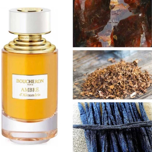 عطر بوشرون عنبر دي الكسندريا للجنسين 125 مل عطر العنبر لجميع المناسبات - بوشيرون - Image 3