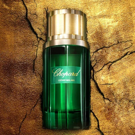 Chopard Cedar Malaki Eau de Parfum for Men 80ml: Woody Fragrance with Grapefruit, Cedarwood, and Tonka Bean - Chopard - Image 3