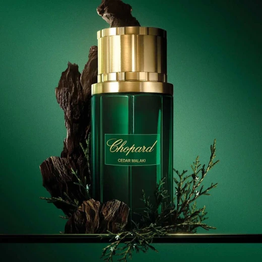 Chopard Cedar Malaki Eau de Parfum for Men 80ml: Woody Fragrance with Grapefruit, Cedarwood, and Tonka Bean - Chopard - Image 2