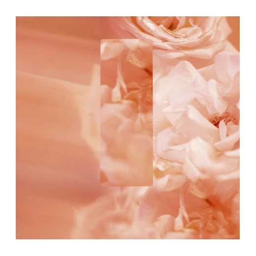 Chanel Coco Mademoiselle Eau de Toilette 50ml: Fresh Oriental Fragrance for Women Captivating and Sexy - Chanel - Image 3