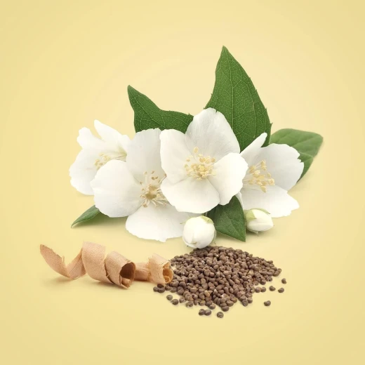 عطر كالفن كلاين بيوتي للنساء او دي بارفان 100 مل عطر زهري أنيق - كالفين كلاين - Image 4