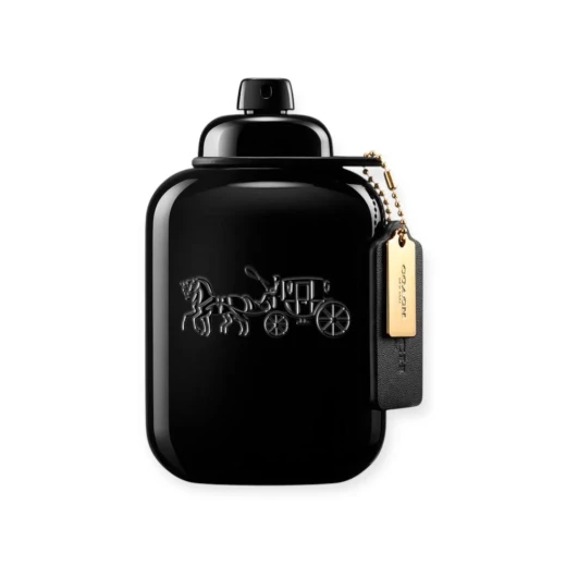عطر كوتش نيويورك للرجال، او دي بارفان، 100 مل، عطر شرقي فوجير متطور، رائحة تدوم طويلاً، هدية للرجال - كوتش - Image 2